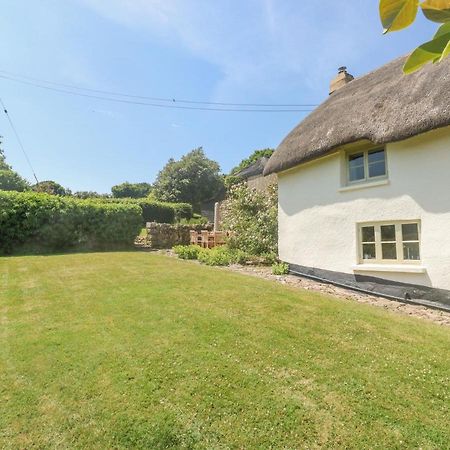 Vila Langstone Farm Okehampton Exteriér fotografie