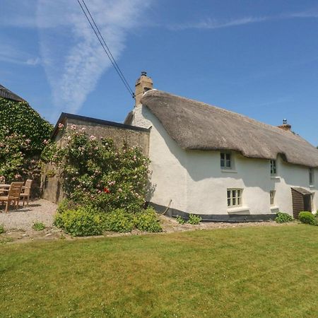 Vila Langstone Farm Okehampton Exteriér fotografie