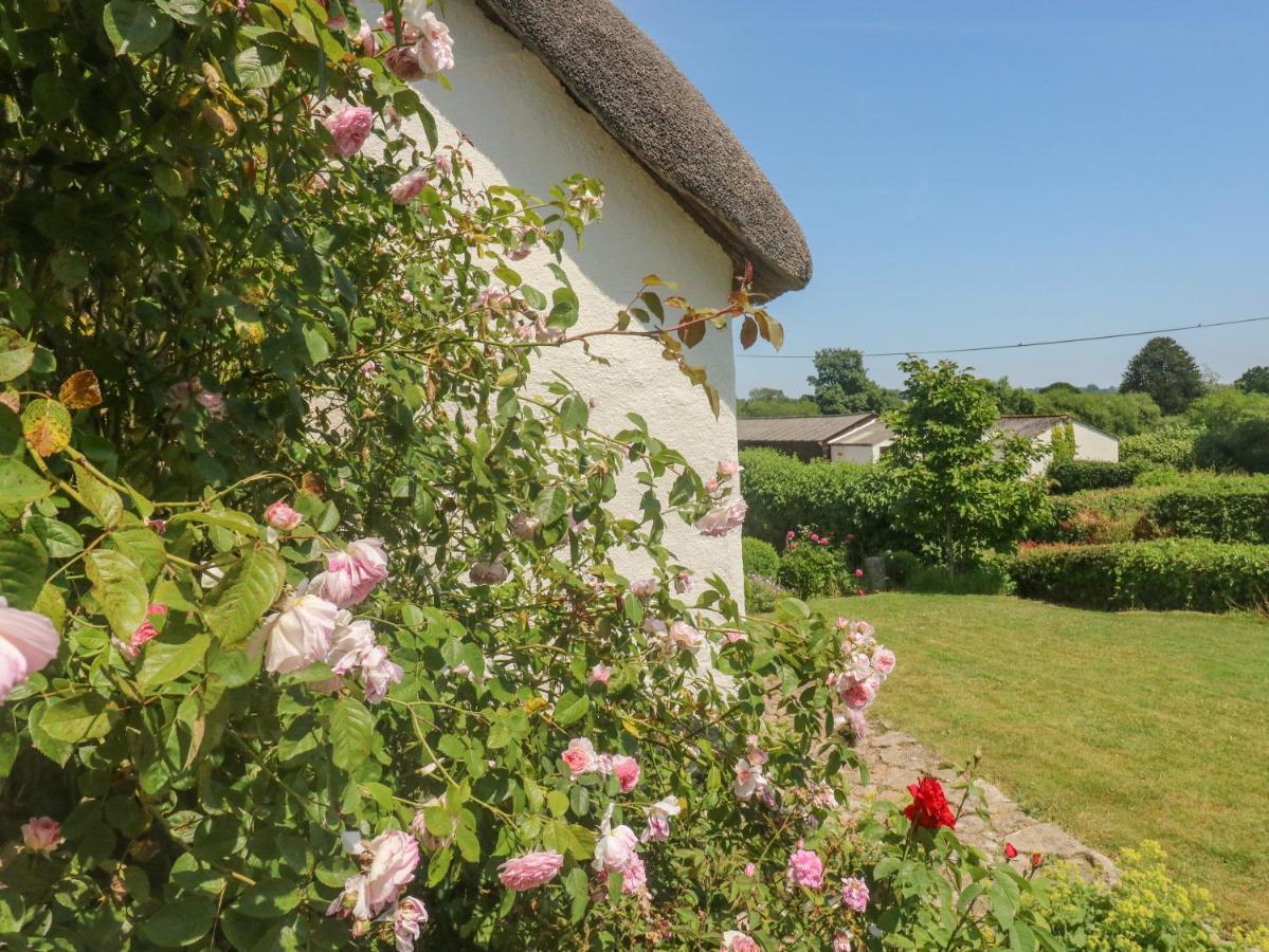 Vila Langstone Farm Okehampton Exteriér fotografie